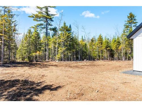 120 John Chessie Dr, Yoho, NB 