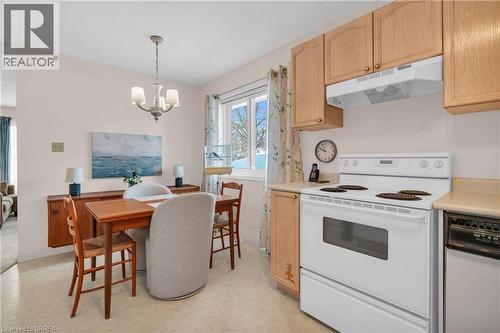 50 South Drive, Kitchener, ON - Indoor Photo Showing Kitchen