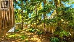 Private backyard space featuring a wood-paneled exterior, mature evergreen trees, a partial privacy fence, and a storage shed - 
