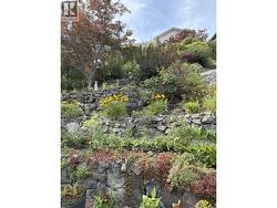 Back Yard Garden Oasis - 