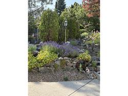 Back Yard Garden Oasis - 