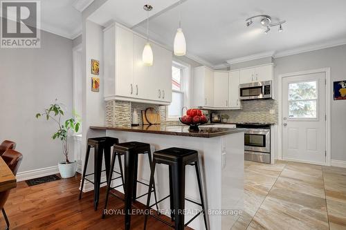 281 Flora Street, Ottawa, ON - Indoor Photo Showing Kitchen With Upgraded Kitchen