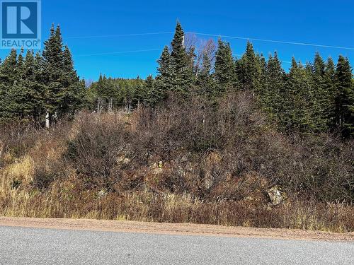161471 Northern Brook Road, Red Bay, NL 
