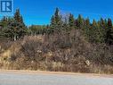 161471 Northern Brook Road, Red Bay, NL 