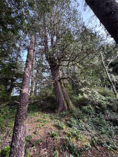 Lot 3 Helby Island, Port Alberni, BC 