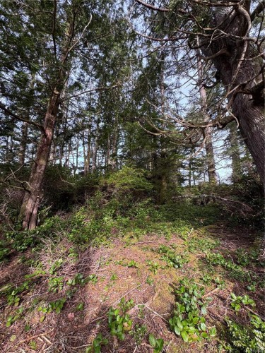 Lot 3 Helby Island, Port Alberni, BC 
