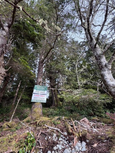 Lot 3 Helby Island, Port Alberni, BC 