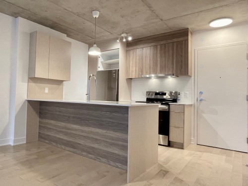 Cuisine - 317-271 Av. De L'Académie, Dorval, QC - Indoor Photo Showing Kitchen