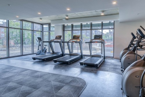 Exercise Room - 218-4820 4E Avenue, Montréal (Rosemont/La Petite-Patrie), QC - Indoor Photo Showing Gym Room