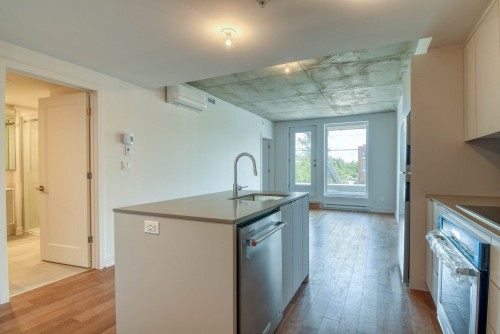 Kitchen - 218-4820 4E Avenue, Montréal (Rosemont/La Petite-Patrie), QC - Indoor Photo Showing Kitchen