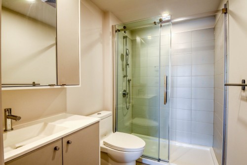 Master Bathroom - 218-4820 4E Avenue, Montréal (Rosemont/La Petite-Patrie), QC - Indoor Photo Showing Bathroom