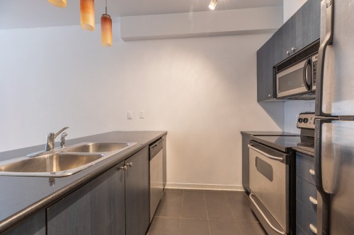 Cuisine - 202-1080 Rue Anderson, Montréal (Ville-Marie), QC - Indoor Photo Showing Kitchen With Double Sink