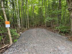 67 PINE GROVE ROAD  Parry Sound Remote Area (Wilson), ON P0H 1S0