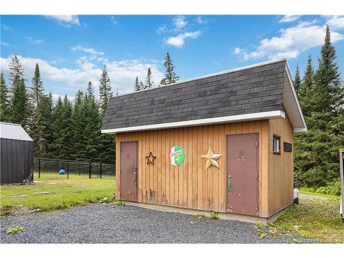 466 Route 17, Saint-Léonard, NB 