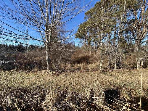 3 Highway, Arcadia, NS 