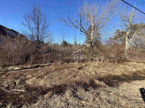 3 Highway, Arcadia, NS 