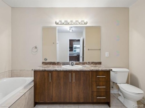 Salle de bains - 1-62 Rue De L'Emerald, Gatineau (Aylmer), QC - Indoor Photo Showing Bathroom