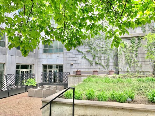 Jardin - 11A-1210 Boul. De Maisonneuve O., Montréal (Ville-Marie), QC - Outdoor