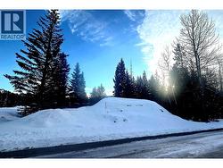 55 DAWSON Crescent Elkford, BC V0B 1H0