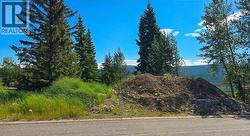 55 DAWSON Crescent Elkford, BC V0B 1H0