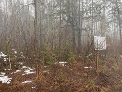 36 Discovery Crescent Ardoise, NS B0N 3A0