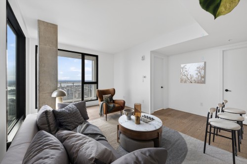 Living Room - 4622-1245 Rue De Bleury, Montréal (Ville-Marie), QC - Indoor Photo Showing Living Room