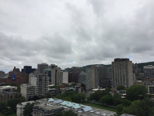Terrasse - 1203-1800 Boul. René-Lévesque O., Montréal (Ville-Marie), QC - Outdoor With View