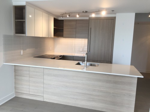 Cuisine - 1203-1800 Boul. René-Lévesque O., Montréal (Ville-Marie), QC - Indoor Photo Showing Kitchen With Upgraded Kitchen