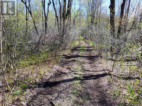 0 Totem Ranch Road, Edwardsburgh/Cardinal, ON 