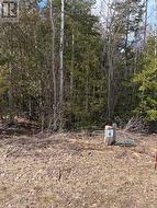 11 LAKESIDE WOODS CRESCENT  Saugeen Shores, ON N0H 2C0