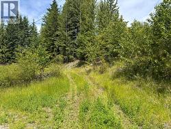 Fraser Road Lot# 124  Anglemont, BC V0E 1M8