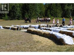 Family wedding in upper pasture - 