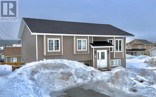 36 HOPEDALE Crescent  St. John's, NL A1B 0B4