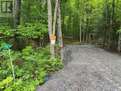 79 PINE GROVE ROAD  Parry Sound Remote Area (Wilson), ON P0H 1S0