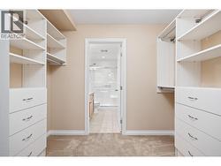 Walk through closet with new built in shelving - 