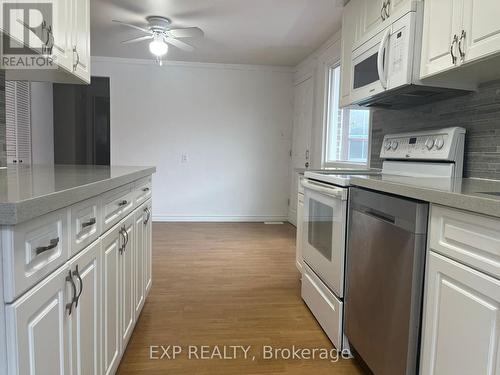 123 Greendale Crescent, Kitchener, ON - Indoor Photo Showing Kitchen