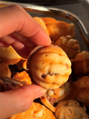 . Cls Ave, Saanich, BC 