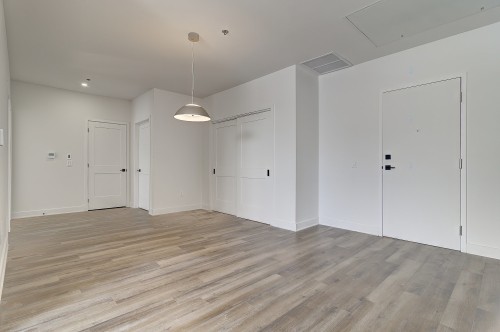 Other - 510-2020 Rue Lucien-Thimens, Montréal (Saint-Laurent), QC - Indoor Photo Showing Other Room