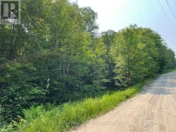 0 COLEMAN LAKE ROAD Dysart Et Al (Guilford), ON K0M 1S0