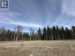 5132 HEADLANDS HEIGHTS Prince George, BC V2N 0G3