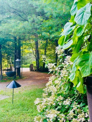 Entrée extérieure - 100 Ch. Mccarthy, Grand-Remous, QC - Outdoor