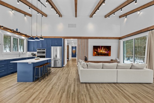 Salle familiale - 169 Ch. Du Printemps, Amherst, QC - Indoor Photo Showing Living Room With Fireplace