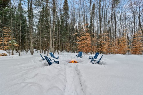 Cour - 169 Ch. Du Printemps, Amherst, QC - Outdoor