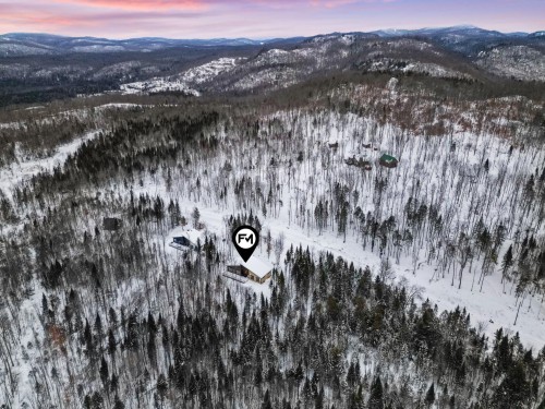 Vue d'ensemble - 169 Ch. Du Printemps, Amherst, QC - Outdoor With View