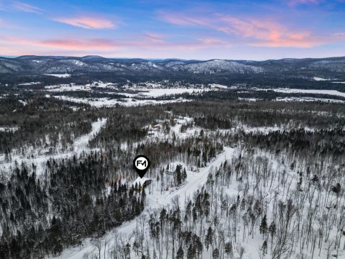 Vue d'ensemble - 169 Ch. Du Printemps, Amherst, QC - Outdoor With View