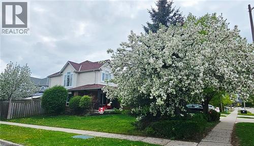 31 Adler Drive, Cambridge, ON - Outdoor