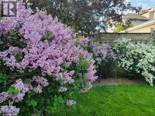 31 Adler Drive, Cambridge, ON - Outdoor