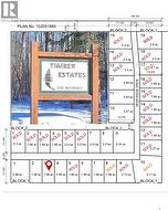 103 Deer Ridge DRIVE Paddockwood Rm No. 520, SK S0J 0N0