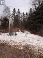 508 SWEEZEY STREET Powassan (Trout Creek), ON P0H 2L0