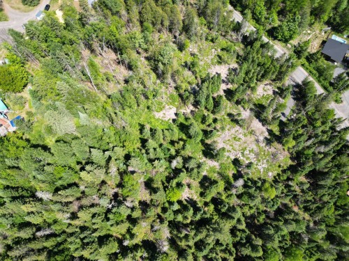 Terre/Terrain - Mtée Du 2E Rang, Val-David, QC 